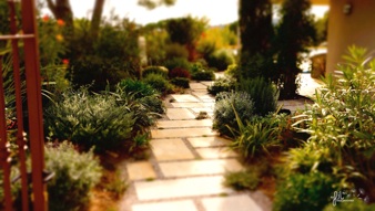 Home Landscaper South Of France